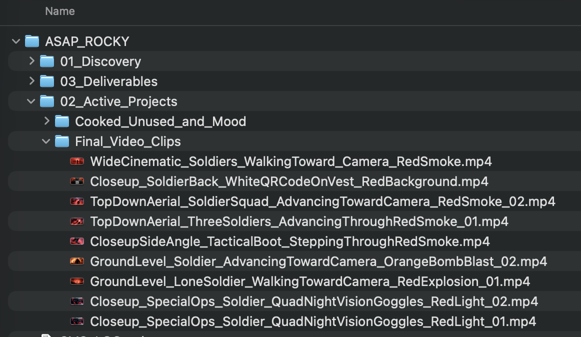 The organized ASAP_ROCKY client file system with cleanly named clips